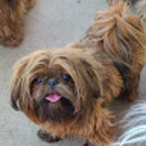 Meet your Posher, Gwendolyn